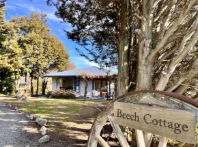 Beech Cottage - Lake Tekapo